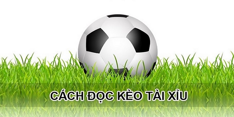 Đúc kết bí kíp đặt cược kèo Tài Xỉu hiệu quả của cao thủ
