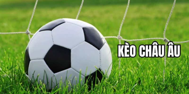 Giải mã sức hút của kèo châu Âu khi cá cược bóng đá