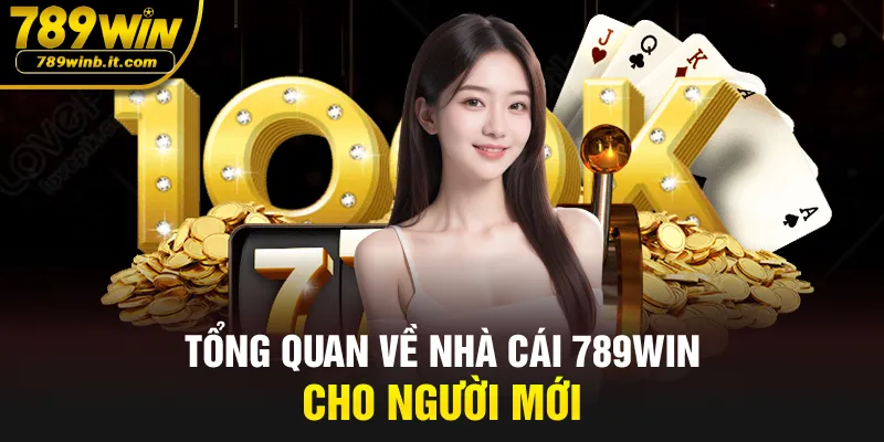 Tổng quan về nhà cái 789WIN cho người mới